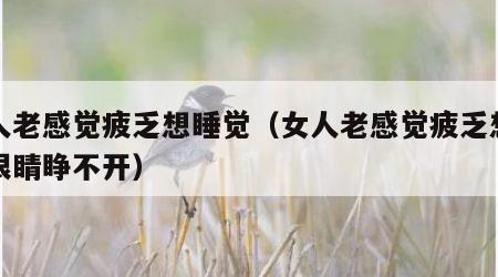女人老感觉疲乏想睡觉（女人老感觉疲乏想睡觉眼睛睁不开）