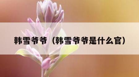 韩雪爷爷（韩雪爷爷是什么官）