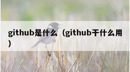 github是什么（github干什么用）