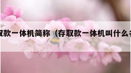 存取款一体机简称（存取款一体机叫什么名字）