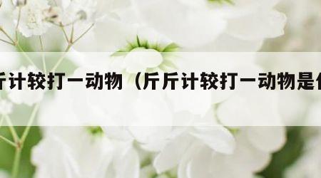 斤斤计较打一动物（斤斤计较打一动物是什么）