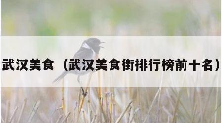 武汉美食（武汉美食街排行榜前十名）