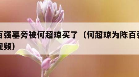陈百强墓旁被何超琼买了（何超琼为陈百强扫墓视频）