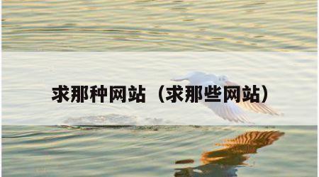求那种网站（求那些网站）