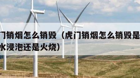 虎门销烟怎么销毁（虎门销烟怎么销毁是先j放水浸泡还是火烧）