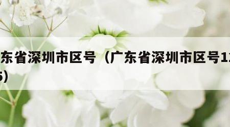广东省深圳市区号（广东省深圳市区号12345）