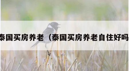 泰国买房养老（泰国买房养老自住好吗）
