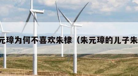 朱元璋为何不喜欢朱棣（朱元璋的儿子朱棣）