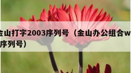 金山打字2003序列号（金山办公组合wps序列号）