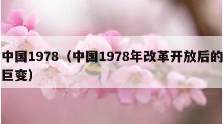 中国1978（中国1978年改革开放后的巨变）