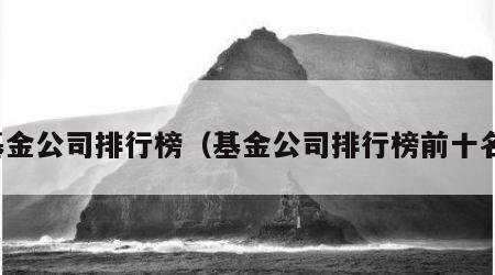 基金公司排行榜（基金公司排行榜前十名）