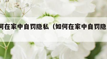 如何在家中自罚隐私（如何在家中自罚隐私?）