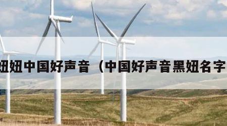 妞妞中国好声音（中国好声音黑妞名字）