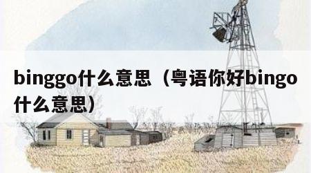 binggo什么意思（粤语你好bingo什么意思）