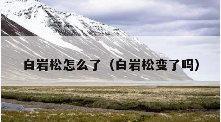 白岩松怎么了（白岩松变了吗）