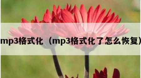 mp3格式化（mp3格式化了怎么恢复）