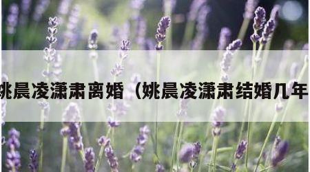 姚晨凌潇肃离婚（姚晨凌潇肃结婚几年）