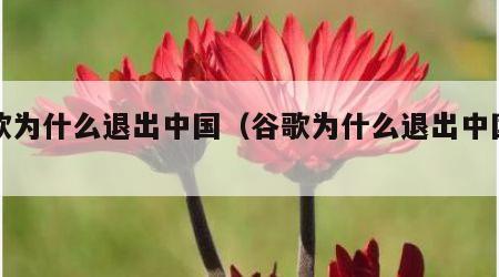 谷歌为什么退出中国（谷歌为什么退出中国知乎）