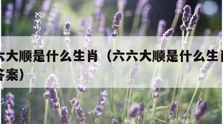 六六大顺是什么生肖（六六大顺是什么生肖正确答案）