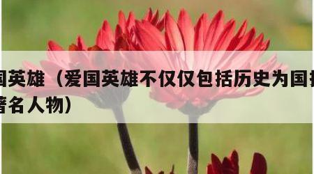 爱国英雄（爱国英雄不仅仅包括历史为国捐躯的著名人物）