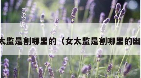 女太监是割哪里的（女太监是割哪里的幽闭）