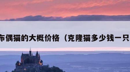 布偶猫的大概价格（克隆猫多少钱一只）