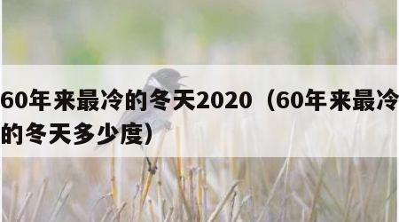 60年来最冷的冬天2020（60年来最冷的冬天多少度）