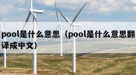 pool是什么意思（pool是什么意思翻译成中文）