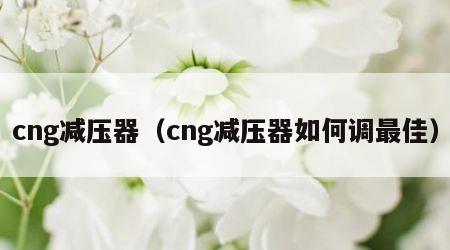 cng减压器（cng减压器如何调最佳）