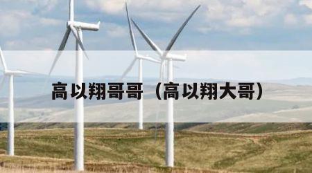 高以翔哥哥（高以翔大哥）