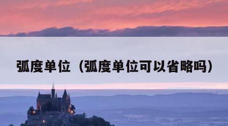 弧度单位（弧度单位可以省略吗）