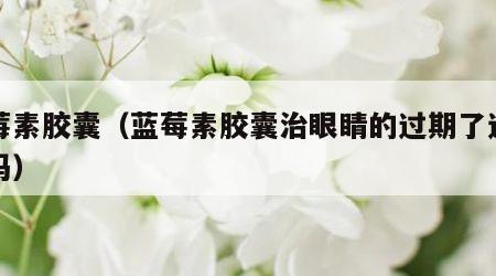 蓝莓素胶囊（蓝莓素胶囊治眼睛的过期了还能吃吗）