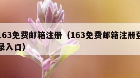 163免费邮箱注册（163免费邮箱注册登录入口）