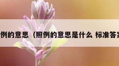 照例的意思（照例的意思是什么 标准答案）