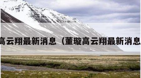 高云翔最新消息（董璇高云翔最新消息）