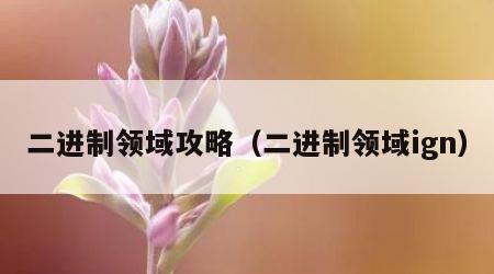 二进制领域攻略（二进制领域ign）