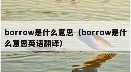 borrow是什么意思（borrow是什么意思英语翻译）