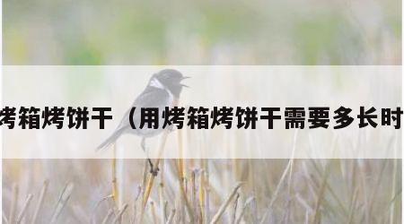 用烤箱烤饼干（用烤箱烤饼干需要多长时间）