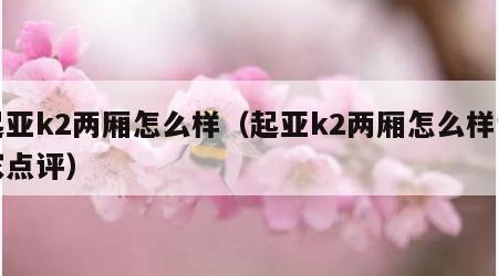 起亚k2两厢怎么样（起亚k2两厢怎么样专家点评）