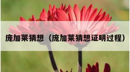 庞加莱猜想（庞加莱猜想证明过程）