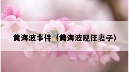 黄海波事件（黄海波现任妻子）
