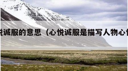 心悦诚服的意思（心悦诚服是描写人物心情的吗）