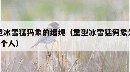 重型冰雪猛犸象的缰绳（重型冰雪猛犸象怎么上3个人）