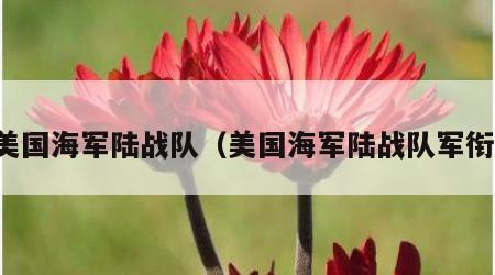 美国海军陆战队（美国海军陆战队军衔）