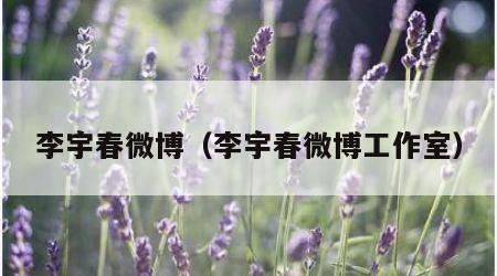李宇春微博（李宇春微博工作室）