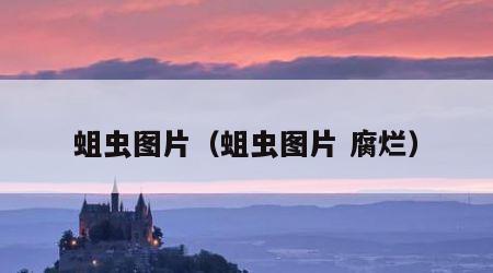 蛆虫图片（蛆虫图片 腐烂）