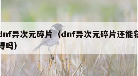 dnf异次元碎片（dnf异次元碎片还能获得吗）