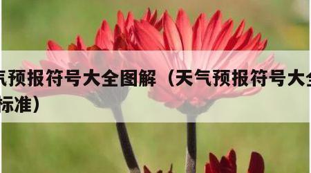 天气预报符号大全图解（天气预报符号大全图解 标准）
