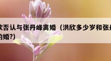 洪欣否认与张丹峰离婚（洪欣多少岁和张丹峰结的婚?）