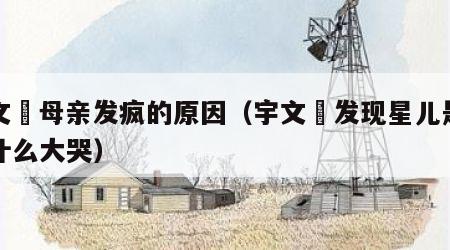 宇文玥母亲发疯的原因（宇文玥发现星儿是处为什么大哭）